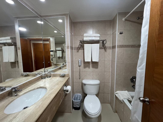 蓬塔阿雷纳斯圣迭戈德阿尔马格罗酒店主图