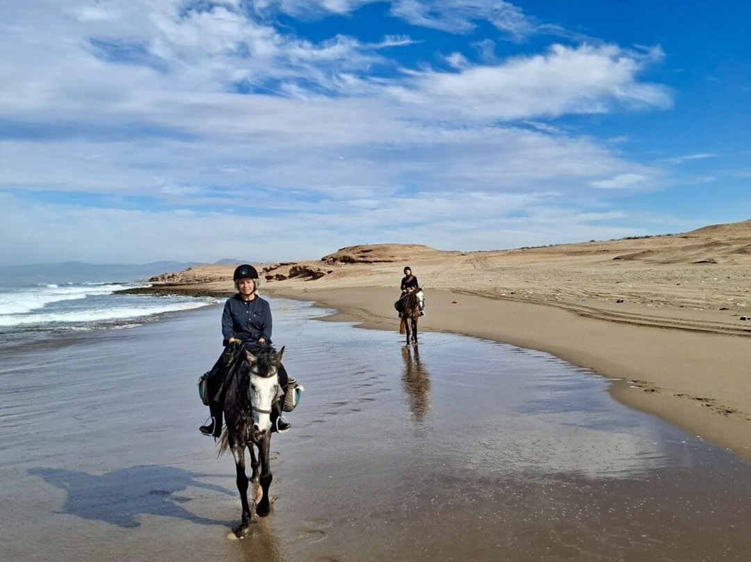 Cheval Agadir Ranch Acienda-奥瑞尔必去景点