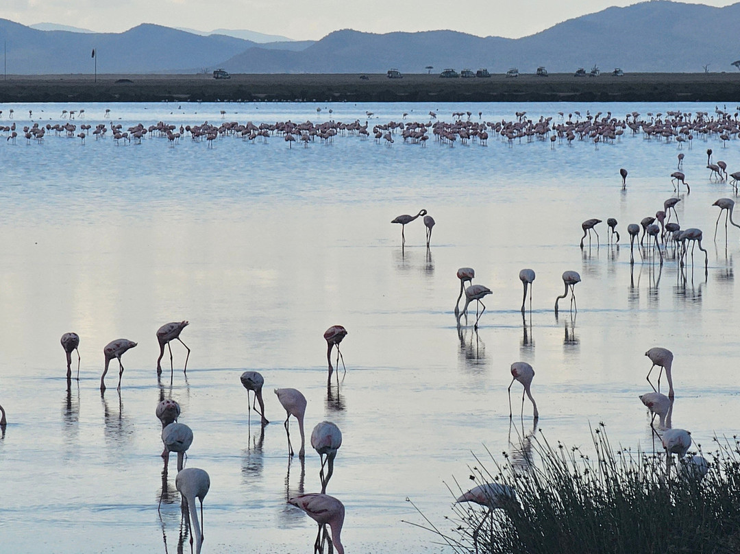 Tourfix Safaris Kenya-Mara North Conservancy必去景点