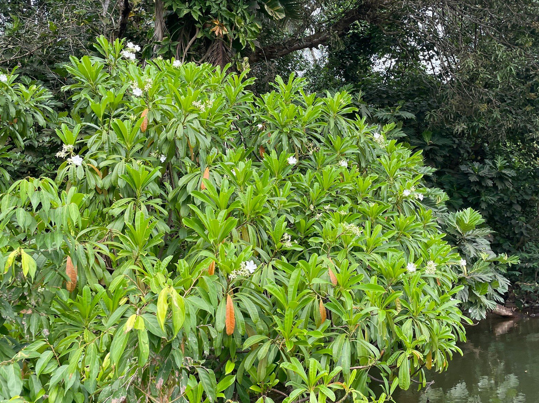 Riu Lanka Tours and Travels (PVT) LTD-亚洪加拉必去景点