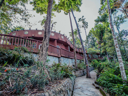 Atremaru Jungle Retreat主图