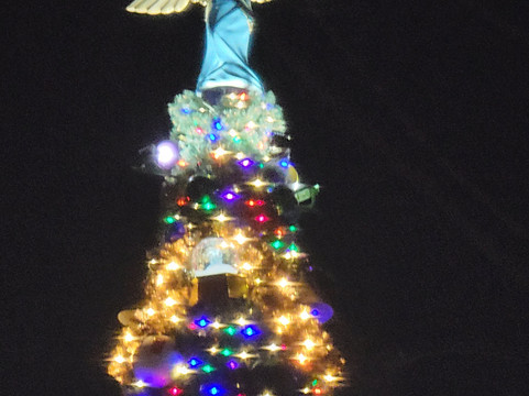 Mears Transportation-奥兰多必去景点