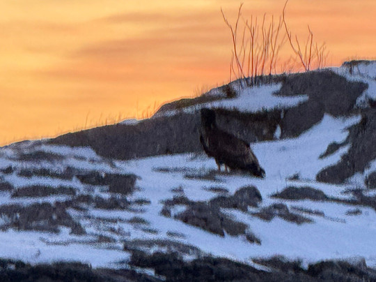 Go2Lofoten-斯沃尔韦尔必去景点