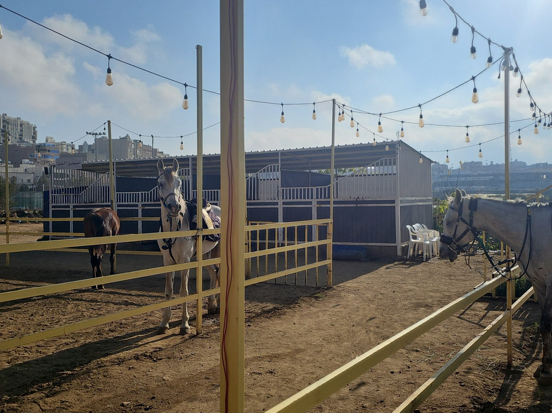 Saudi Arabia Tours-利雅德必去景点