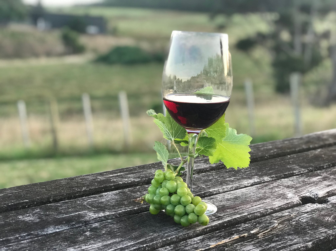 Vineyard Cottages主图