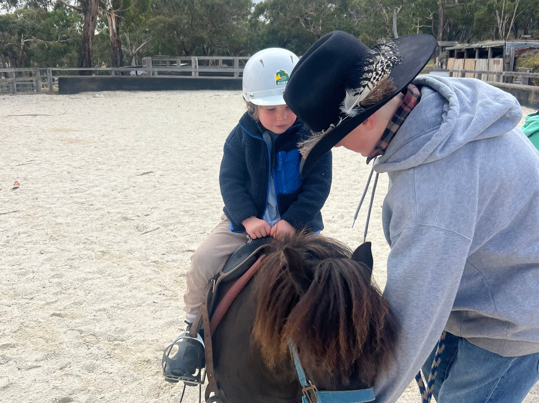 Spring Creek Horse Rides-贝尔布拉必去景点
