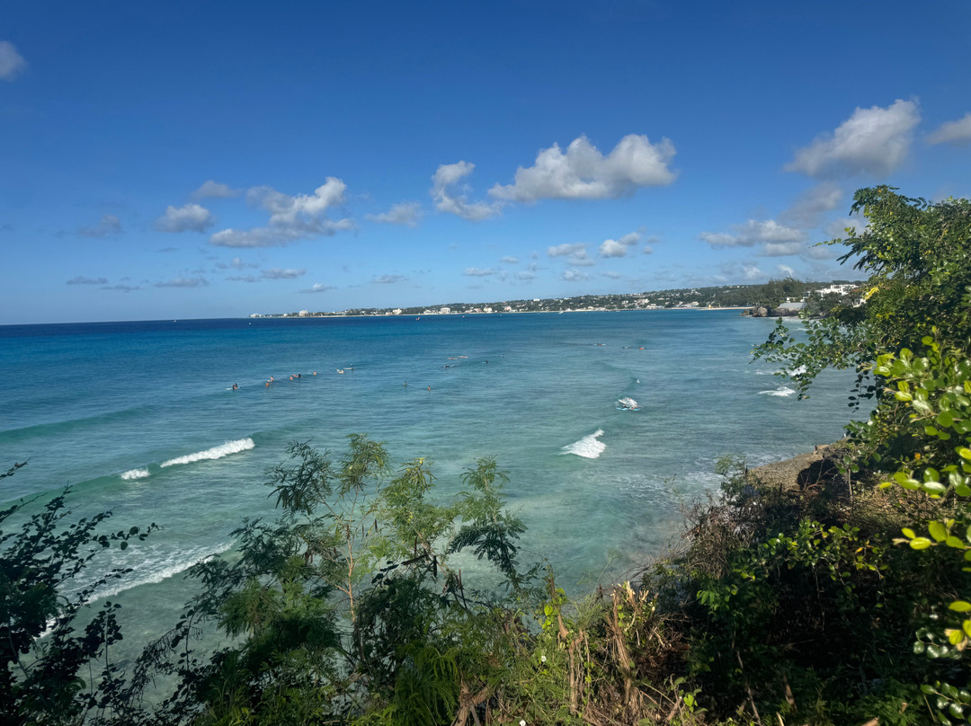 Bodie's School of Surf-奥伊斯廷斯必去景点