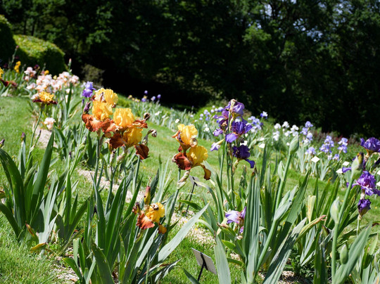 Les Jardins De Brocéliande-Breal-sous-Montfort必去景点