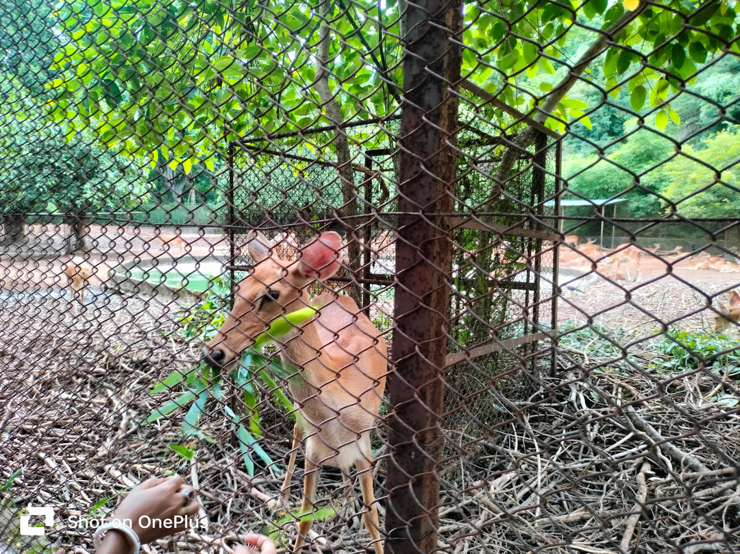 Assam State Zoo-古瓦哈提必去景点