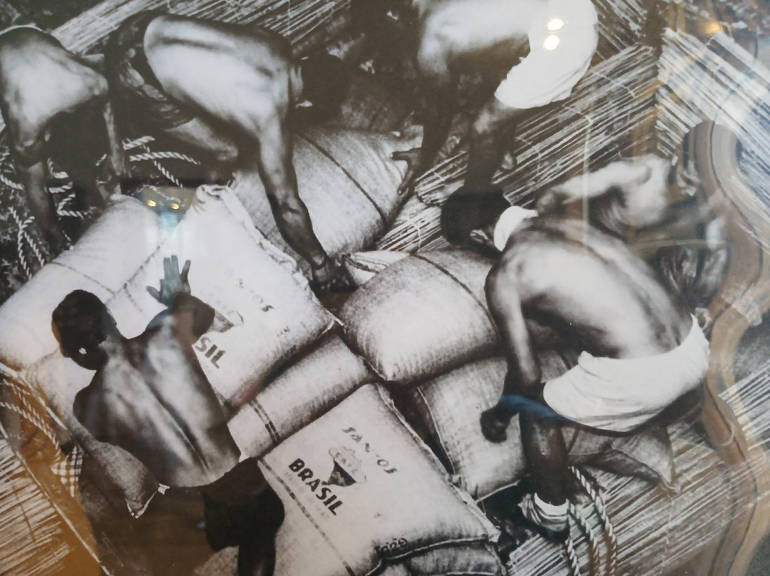 Museu Do Porto De Santos-桑托斯必去景点