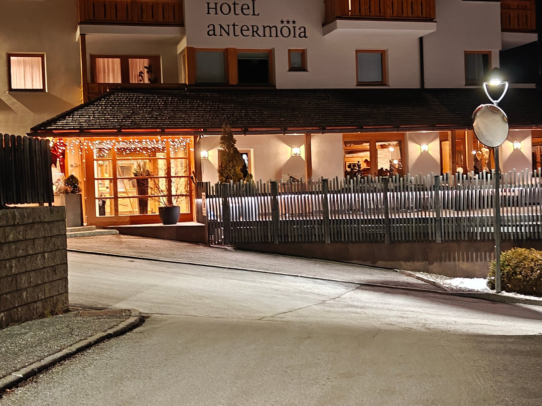 Hotel Antermoia主图