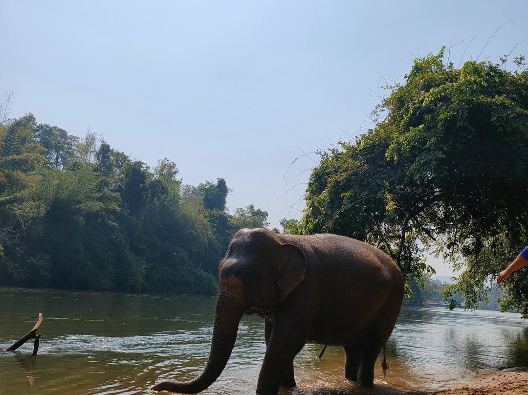 Elephant Haven-柿约必去景点
