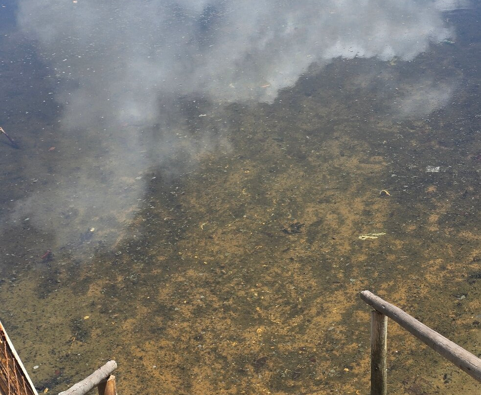 Praia De Buraquinho-Lauro de Freitas必去景点