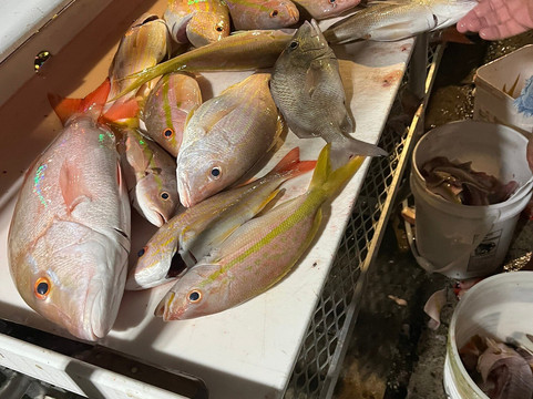 Cora Beth Fishing-基韦斯特必去景点