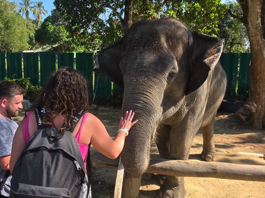 Lanta Island Elephant Lover-Khlong Hin必去景点