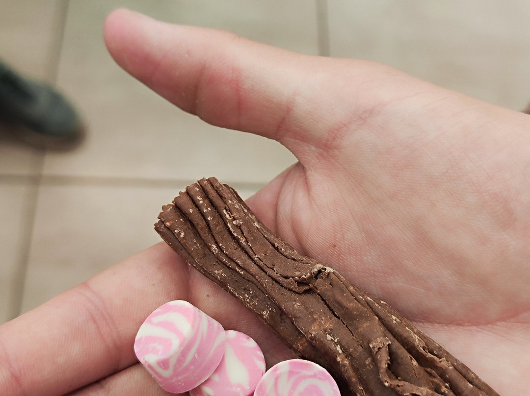 Chocolezza-门多萨必去景点