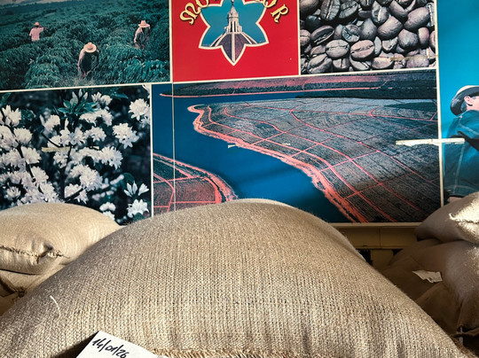 Espresso Academy-佛罗伦萨必去景点