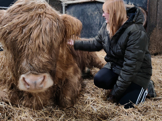 Dumble Farm-比弗利必去景点