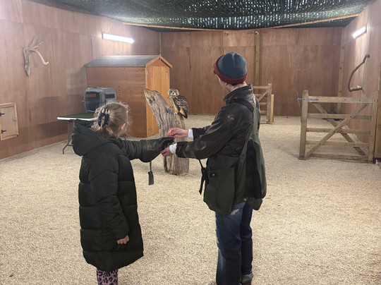 The Bird Of Prey Project-巴斯必去景点