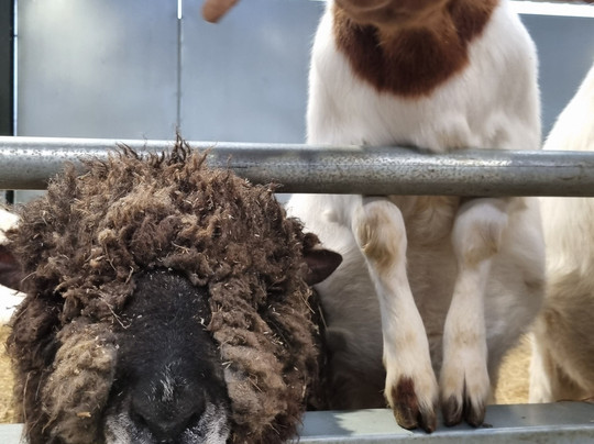 Monk Park Farm-Bagby必去景点