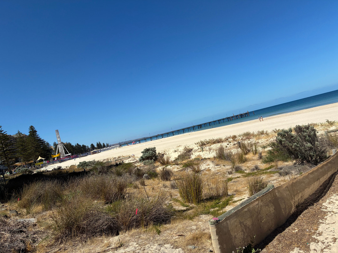 Glenelg Beach-格莱内尔格必去景点