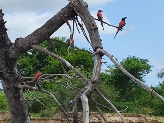 Travel with Deo-Mloka必去景点