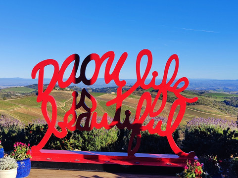 DAOU Vineyards-帕索罗布尔斯必去景点
