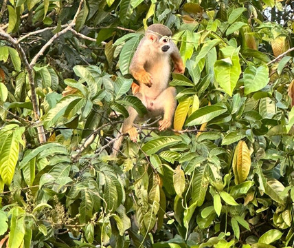 Rio Tambococha-Coca必去景点