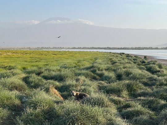 Discovery Kenya con Fragola-瓦塔木必去景点