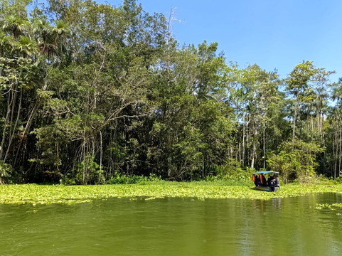 Reserva Biológica Limoncocha-Limoncocha必去景点