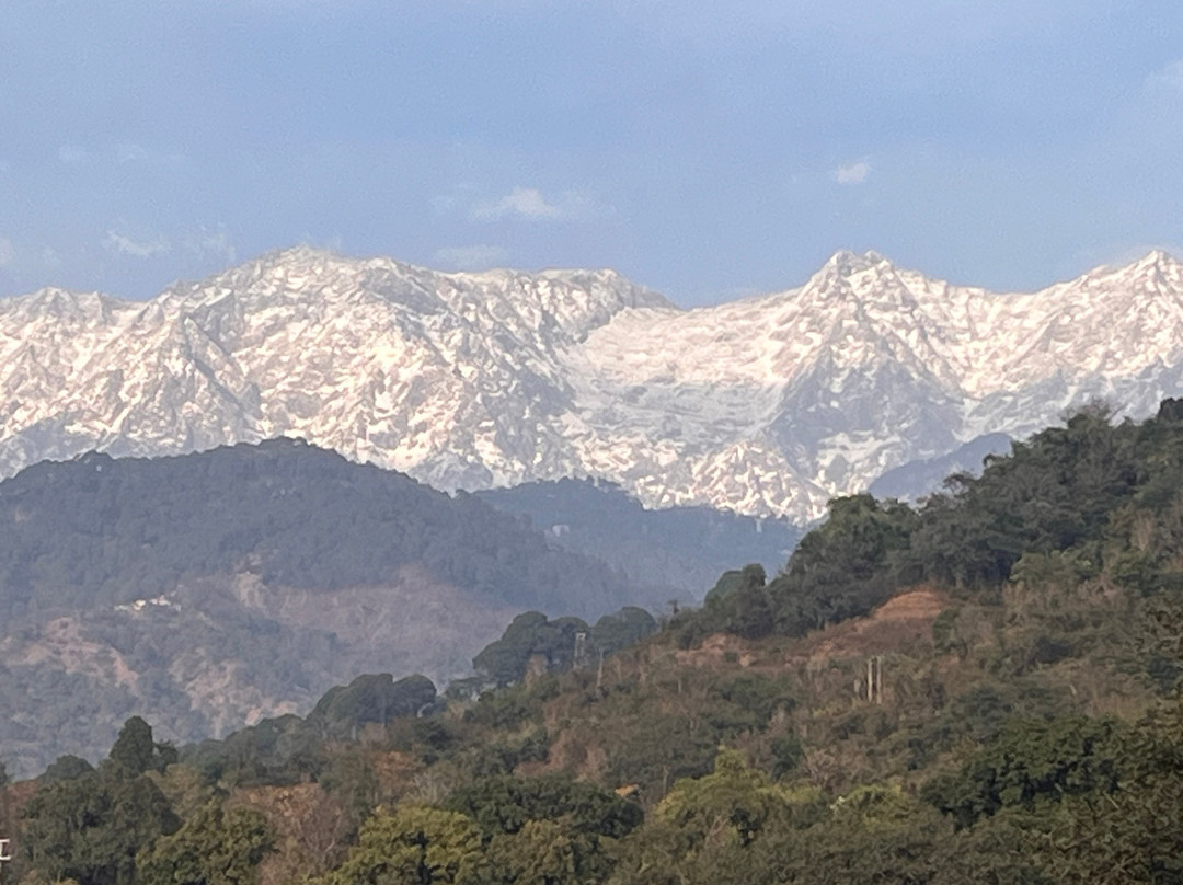 Rendezvous Dharamshala主图