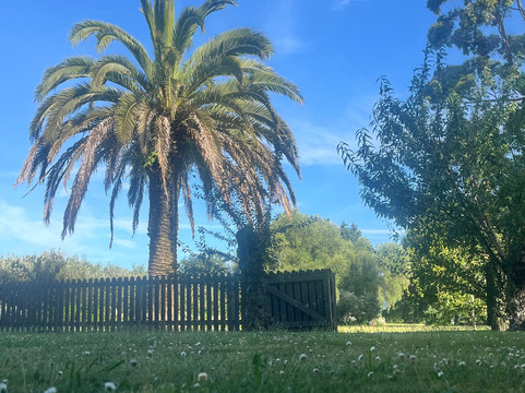 Hoglund Art Glass-尼尔森必去景点