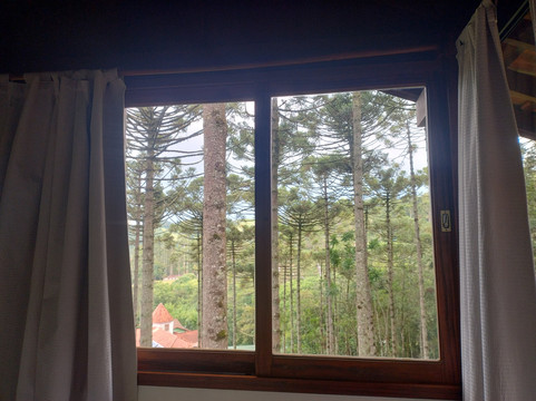 绿色生活旅馆主图