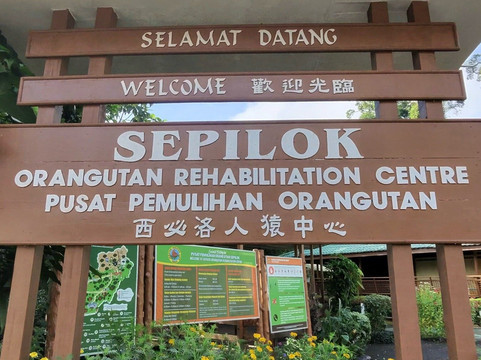 Coral Expeditions-凯恩斯必去景点