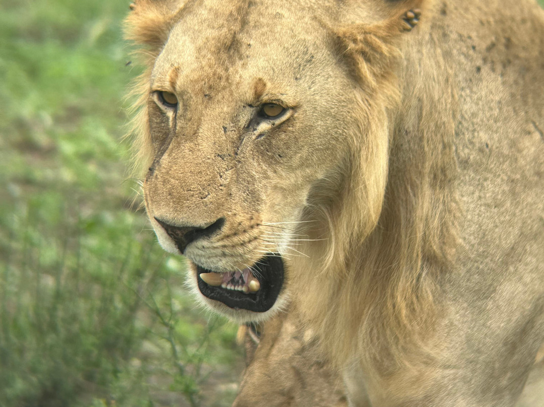 Marmara Holidays-Dar es Salaam必去景点