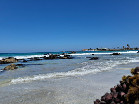 Playa Totoralillo-Coquimbo必去景点