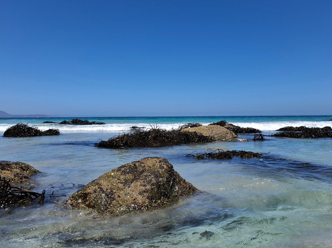Playa Totoralillo-Coquimbo必去景点