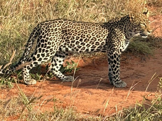 Safari Kenya Plus - Private Day Tour-马林地必去景点