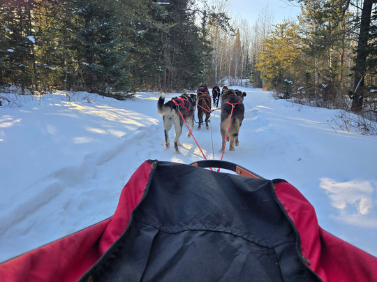Chilly Dogs Sled Dog Trips-伊利必去景点