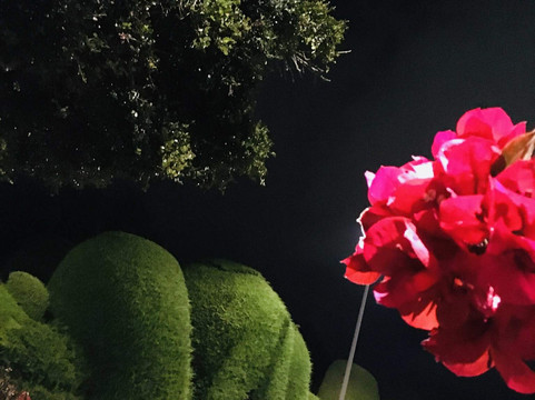 Cementerio de Tulcán-Tulcan必去景点