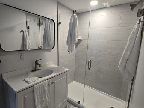 翠鸟哈维奇港主图