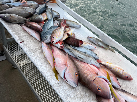 Expert Fishing Charters-朱庇特必去景点