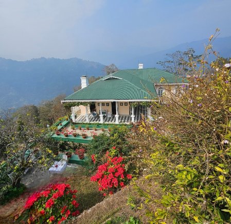 Glenburn Tea Estate-官方