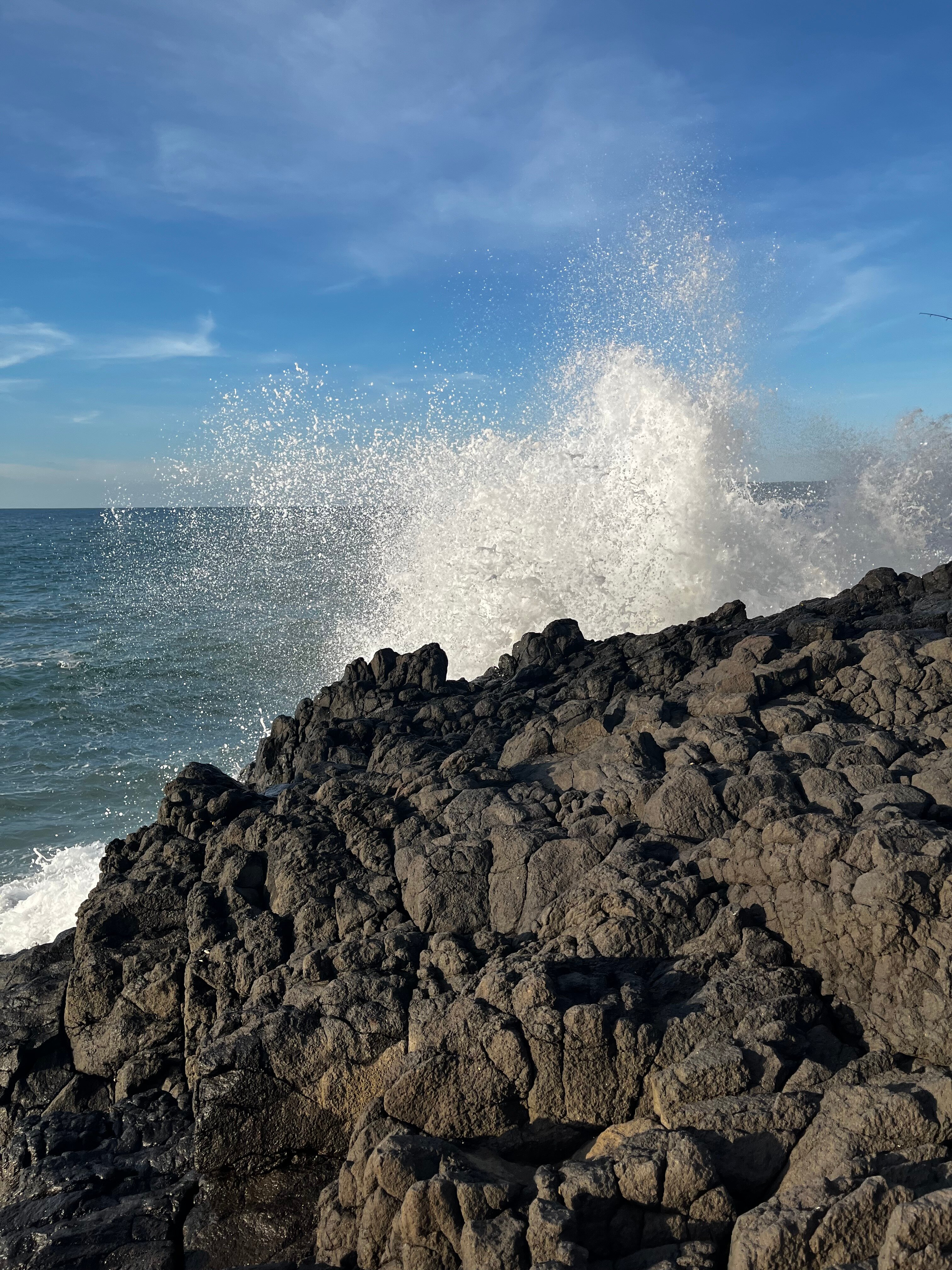 Casa De Los Amigos-官方