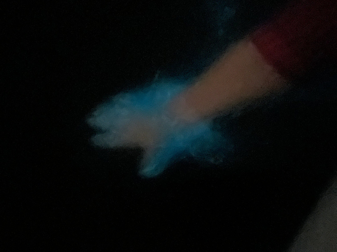 BioIsland-Cabezas必去景点