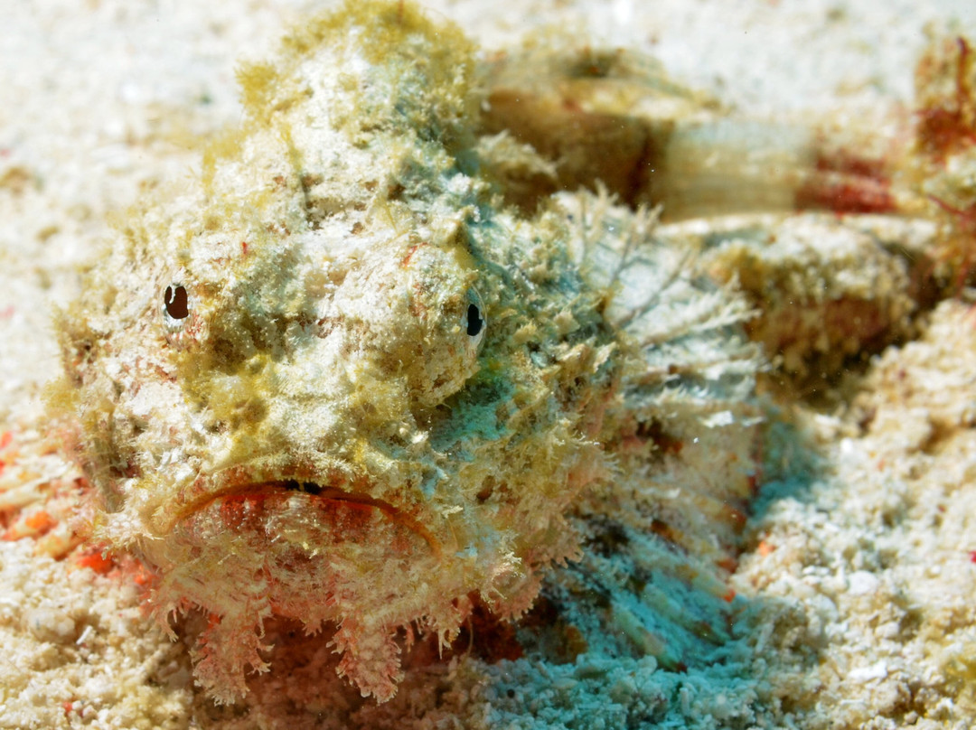 Maite Marine Sanctuary-圣胡安必去景点