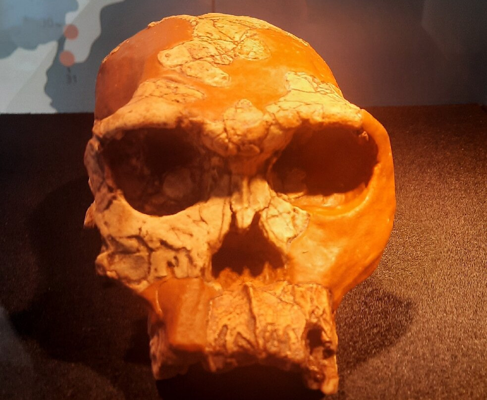 Mae - Museo Archeologico Ernico-Anagni必去景点