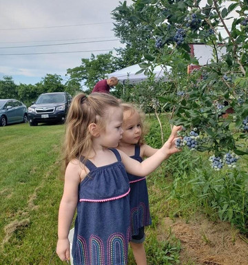 Hickory Hill Farm-Keezletown必去景点