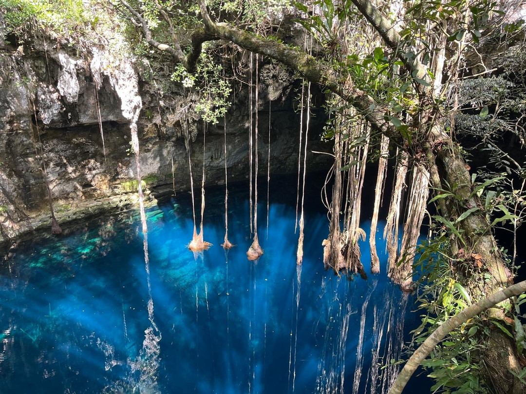 Experiencia Privada en Cenote Exclusivo-巴利亚多利德必去景点