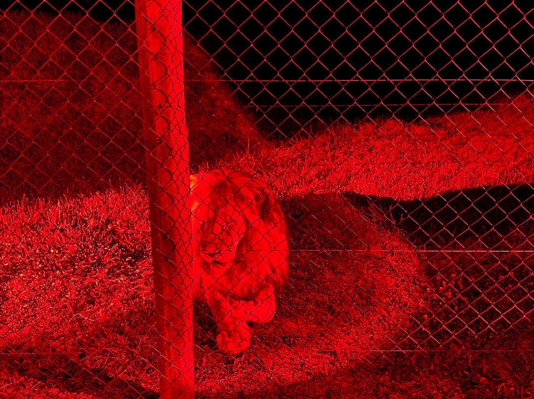 Jukani Wildlife Sanctuary-The Crags必去景点